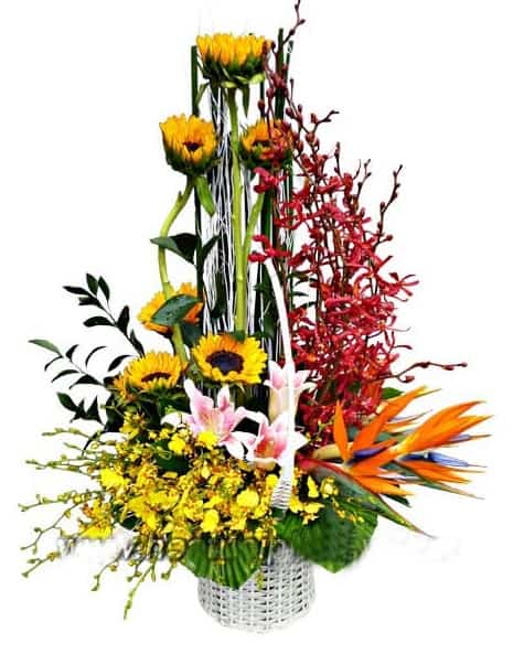 Hoa tươi Nguyệt Hỷ