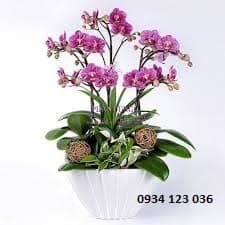 Hoa tươi Nguyệt Hỷ