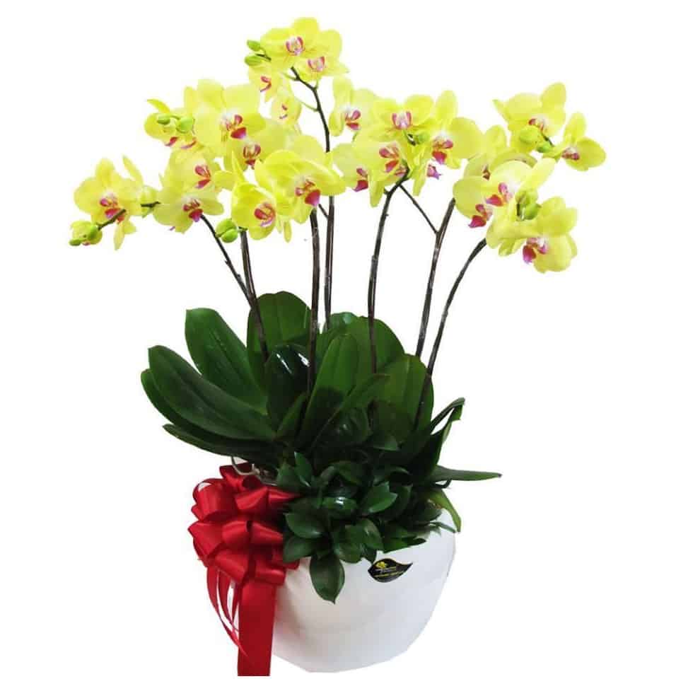 Hoa tươi Nguyệt Hỷ