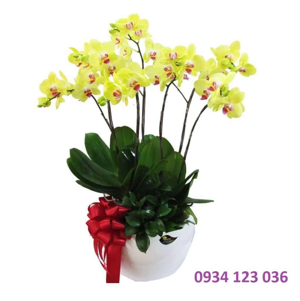 Hoa tươi Nguyệt Hỷ