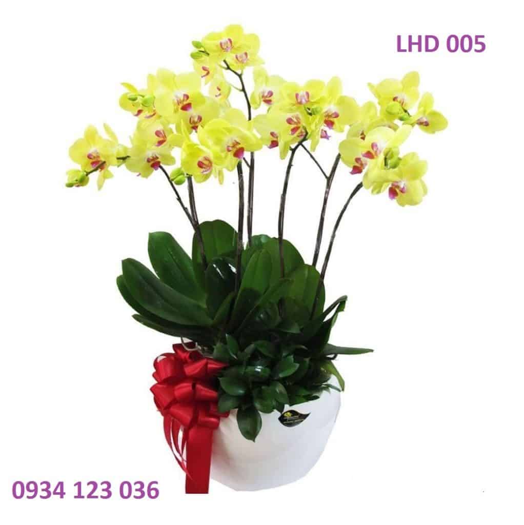 Hoa tươi Nguyệt Hỷ