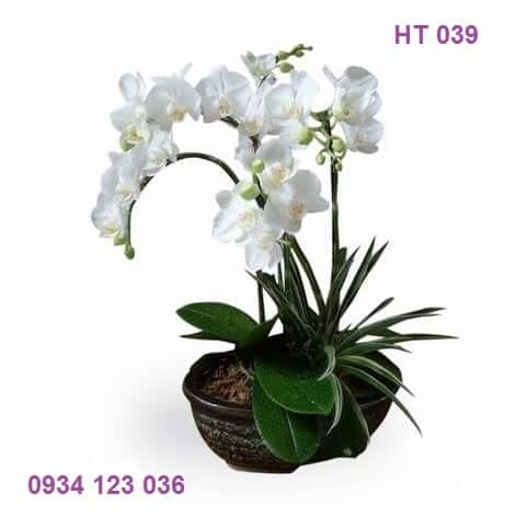 Hoa tươi Nguyệt Hỷ