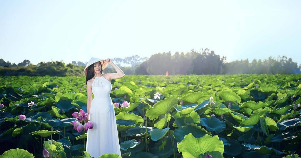 Hoa tươi Nguyệt Hỷ