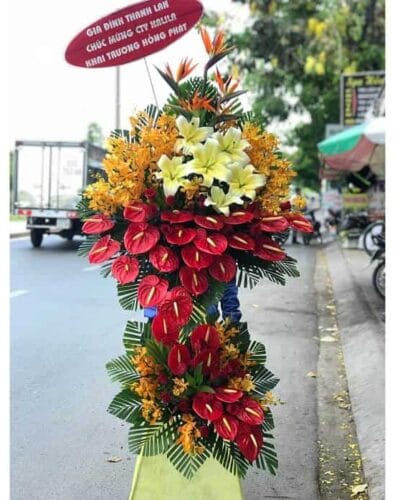 Vươn mình bay cao