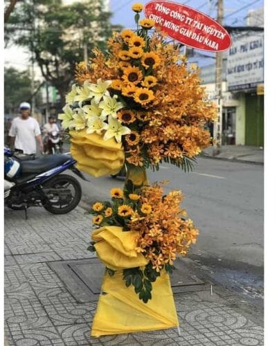 Tiến bước thuận lợi