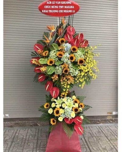 Khai trương thành công