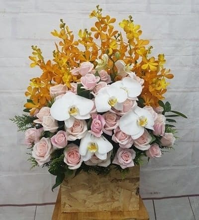 Yêu thương tròn đầy 011