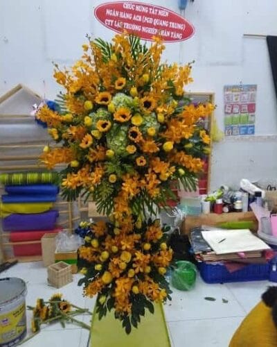 Vươn mình bay xa 3