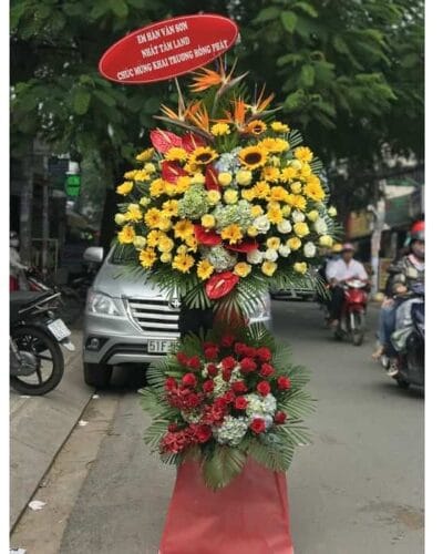 Vươn mình ra khơi