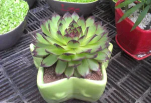 unnamed 6