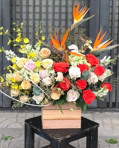 Nơi tình yêu bắt đầu