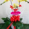 Lộc phát lộc 002
