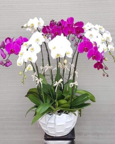 Niềm tin chiến thắng