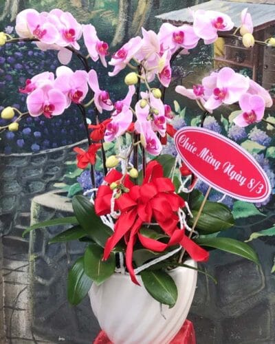Hưng thịnh 005