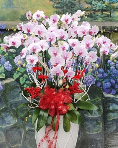 Vươn tầm cao mới 002