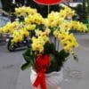 Khúc ca chiến thắng 02