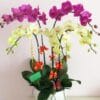 Vạn lộc phát 001