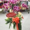 Thành công dẫn lối 001