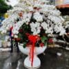 Lộc phát trường giang 001