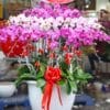 Lộc phát lộc 001
