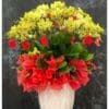Đại trường thịnh