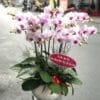 Phúc lộc thọ