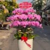 Lộc trường phát 04