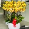 Thiên niên vạn lộc 04