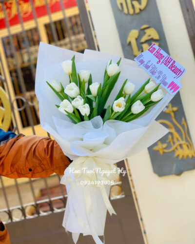 Hoa Bo Nhap Tulip.jpg