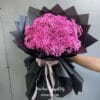 Bo Hoa Baby Hong (2)