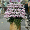 Chau Lan Ho Diep Sang Trong 9234.jpg