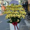 Hoa Lan Sai Gon 23424.jpg
