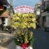 Lan Ho Diep Quan 3 99999.jpg