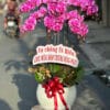 Lan Ho Diep Tan Phu .jpg