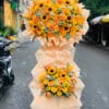 Hoa Khai Truong Tan Phu