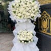 Hoa Tang Le Mau Trang 78899.jpg