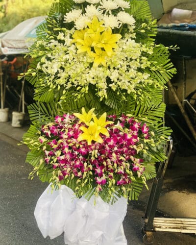Hoa Tang Mau Tim 2 Tang.jpg