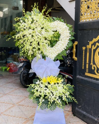 Hoa Vieng Trai Tim 3534.jpg